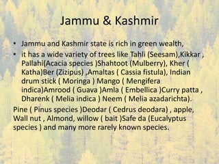 Jammu & Kashmir
• Jammu and Kashmir state is rich in green wealth,
• it has a wide variety of trees like Tahli (Seesam),Kikkar ,
Pallahi(Acacia species )Shahtoot (Mulberry), Kher (
Katha)Ber (Zizipus) ,Amaltas ( Cassia fistula), Indian
drum stick ( Moringa ) Mango ( Mengifera
indica)Amrood ( Guava )Amla ( Embellica )Curry patta ,
Dharenk ( Melia indica ) Neem ( Melia azadarichta).
Pine ( Pinus species )Deodar ( Cedrus deodara) , apple,
Wall nut , Almond, willow ( bait )Safe da (Eucalyptus
species ) and many more rarely known species.
 