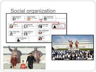 Social organization
 