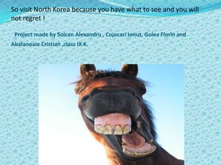 All horse sex in Pyongyang