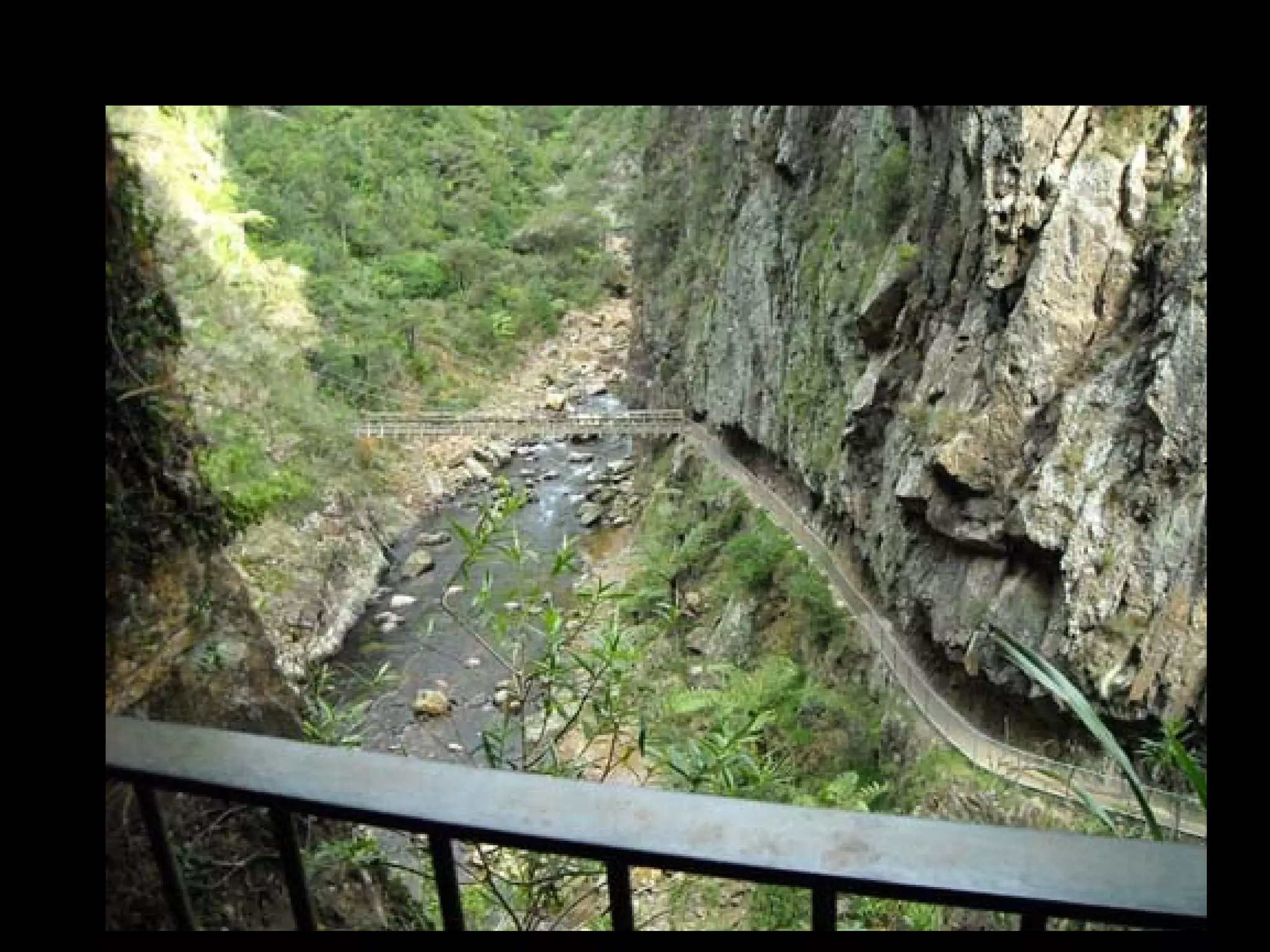 Waihi (Karangahake) – June 7, 2008
 