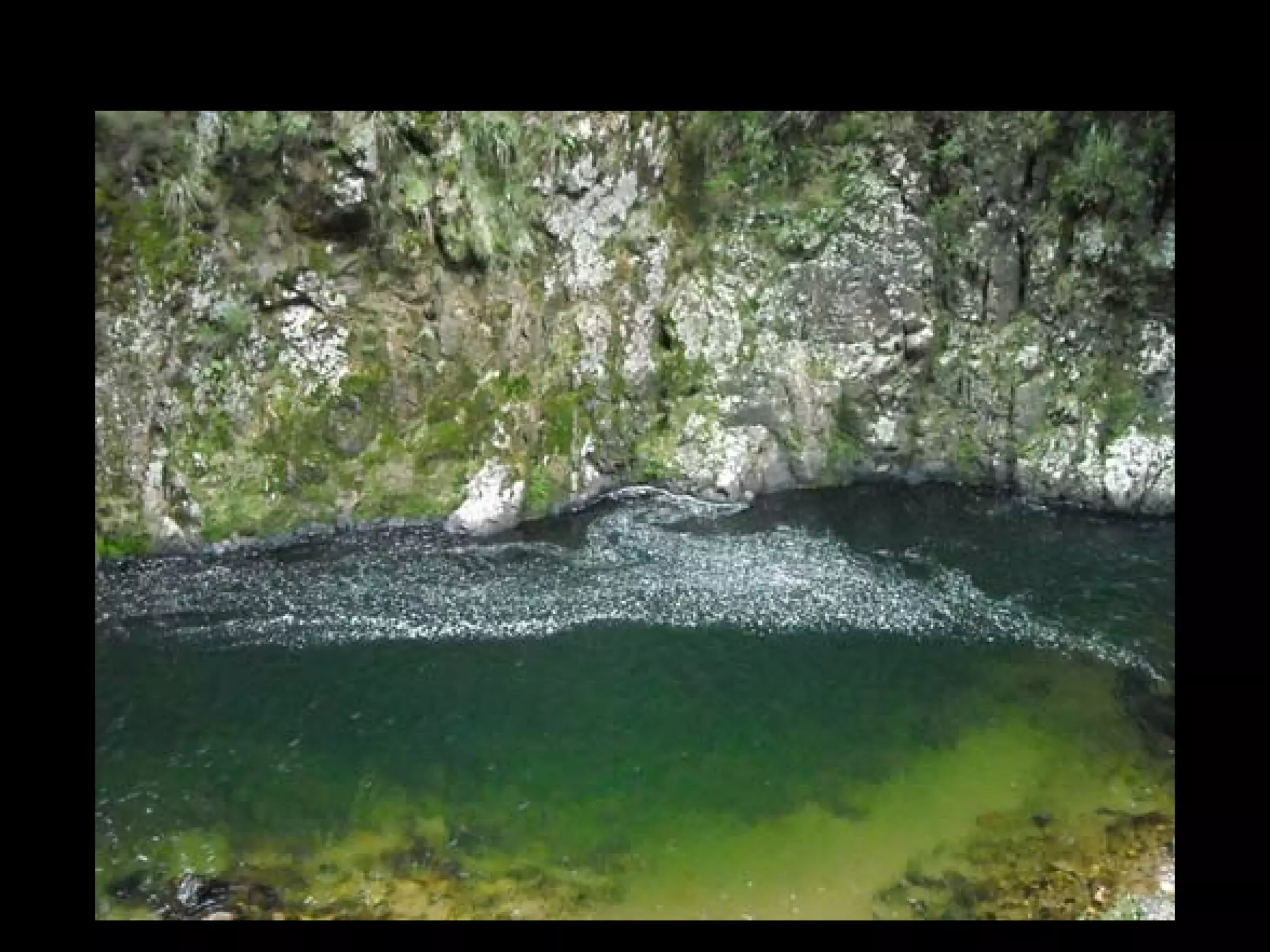 Waihi (Karangahake) – June 7, 2008
 