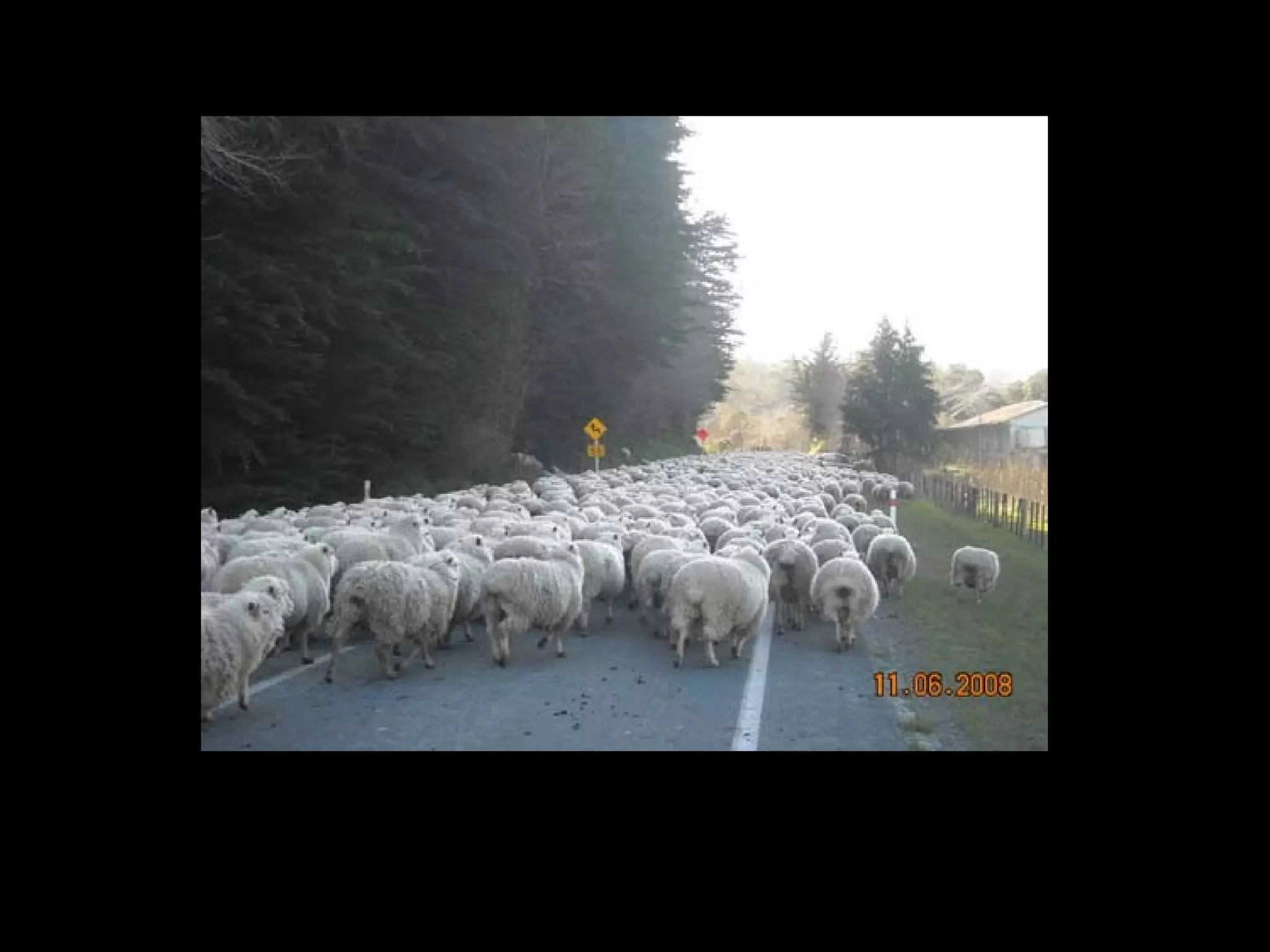 East Cost Traffic – June 11, 2008




While on the east cost way (East cape to Gisborne), we so fortunate to meet the traffic.
Many sheets are on the road, happened an EAST COST TRAFFIC.
 