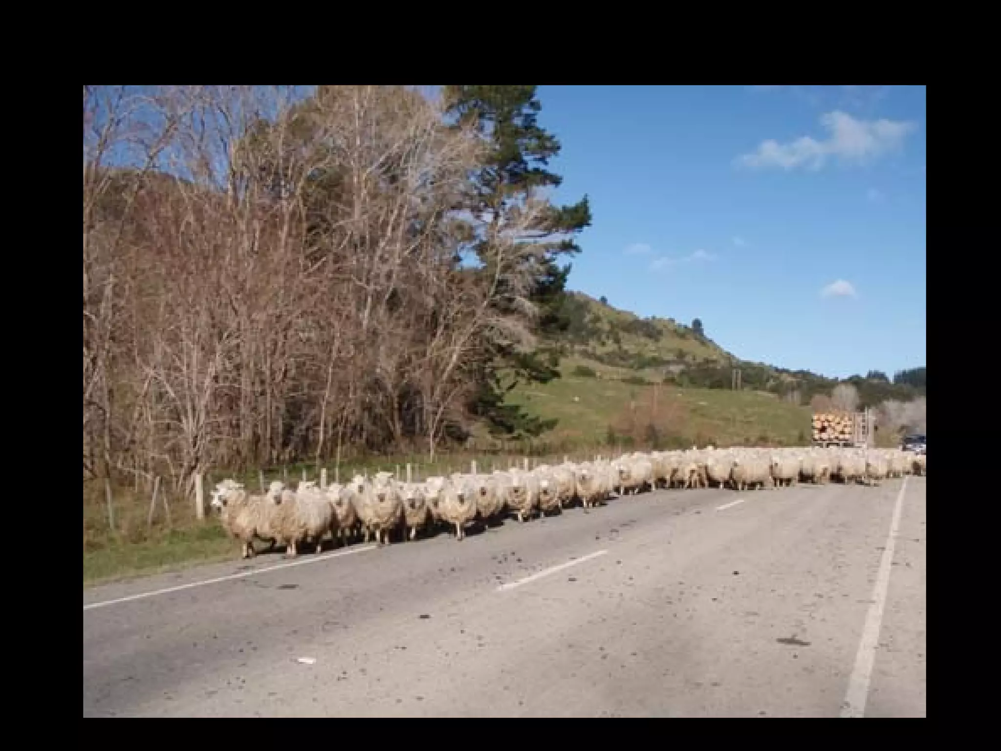 East Coast Traffic – June 11, 2008
 