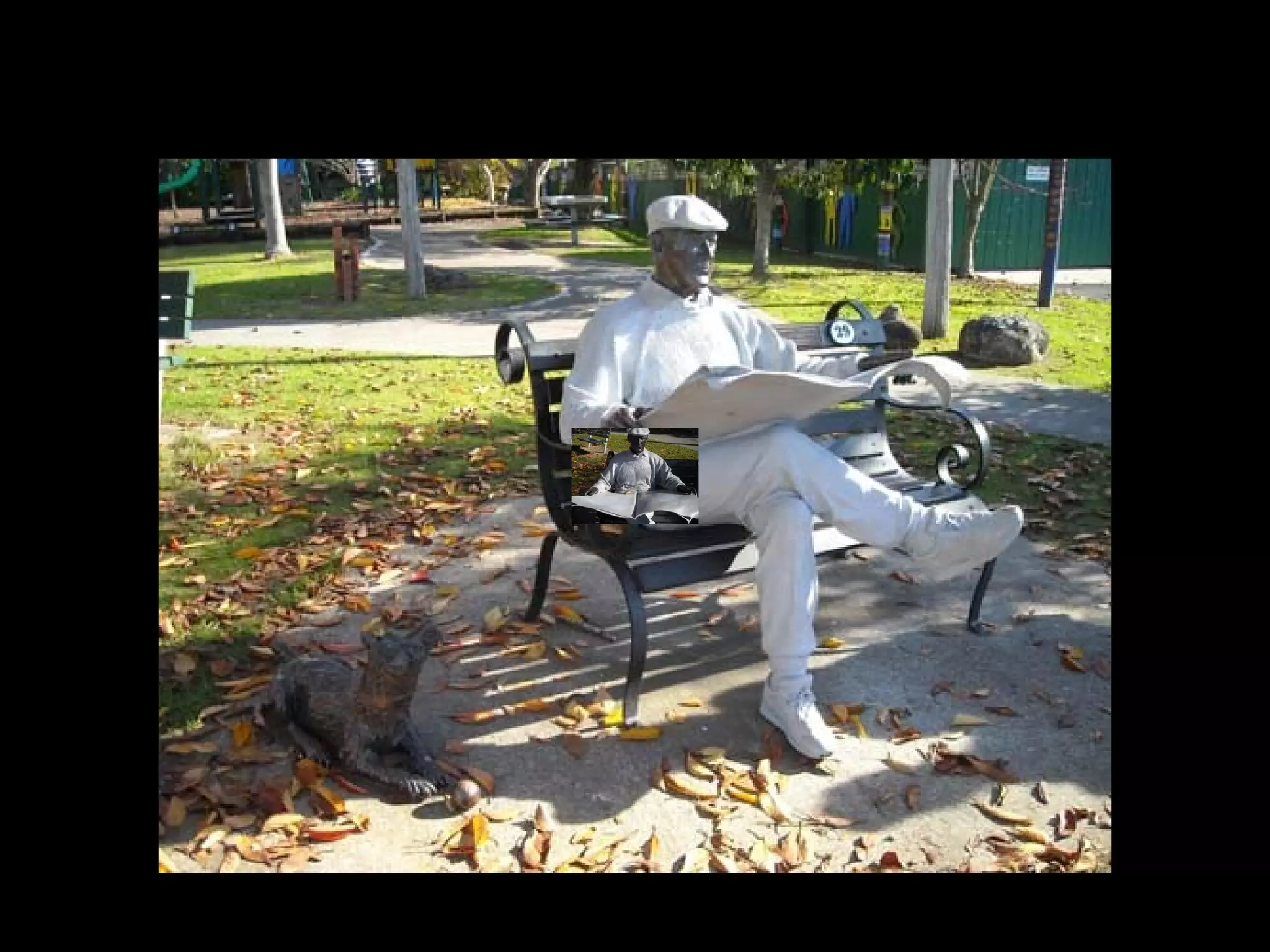 Katikati – June 7, 2008
 The only attraction at Katikati:
 