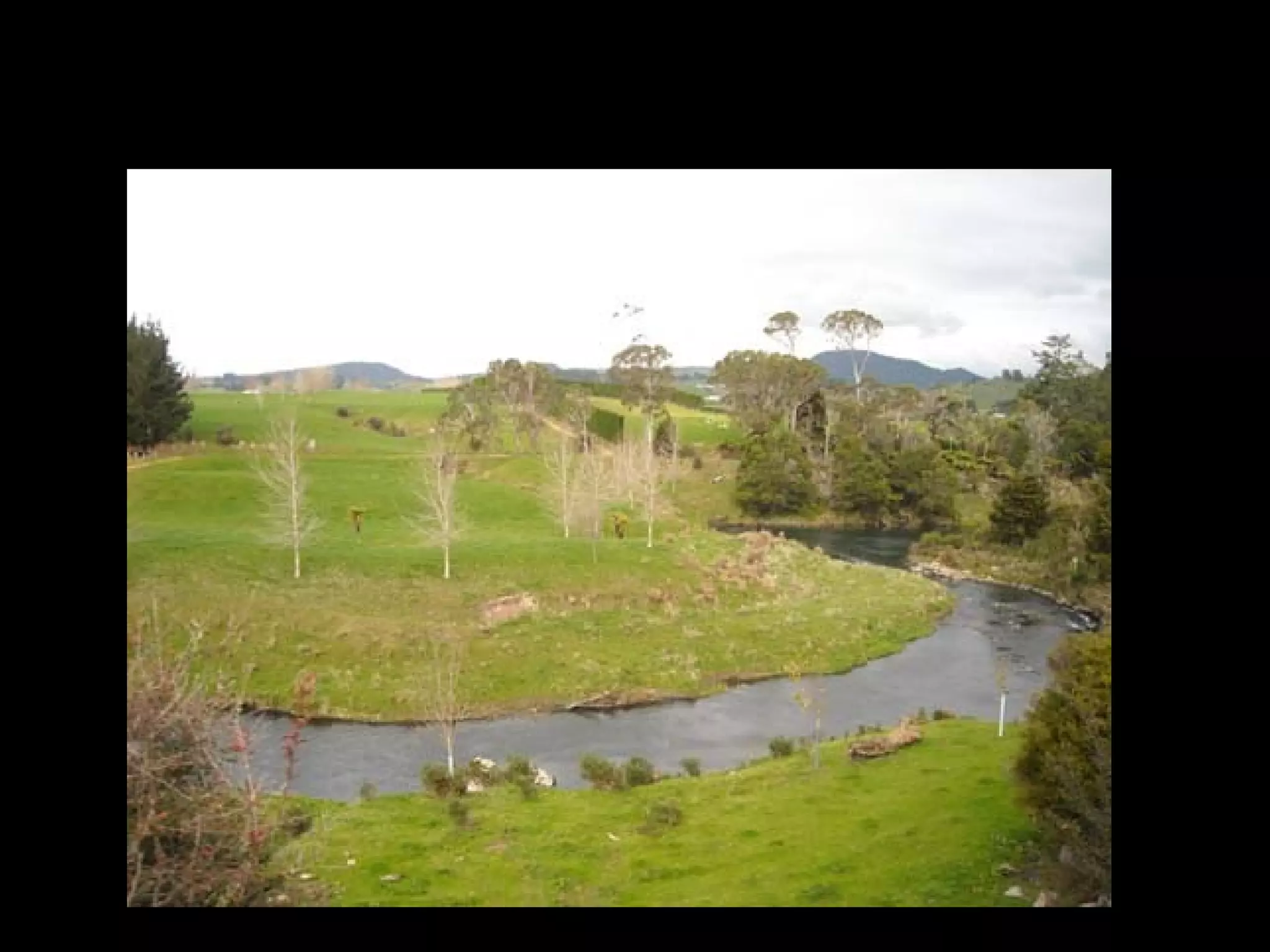 Waihi (Goldfield Train) – June 7, 2008
  Scene that I look while on train:
 