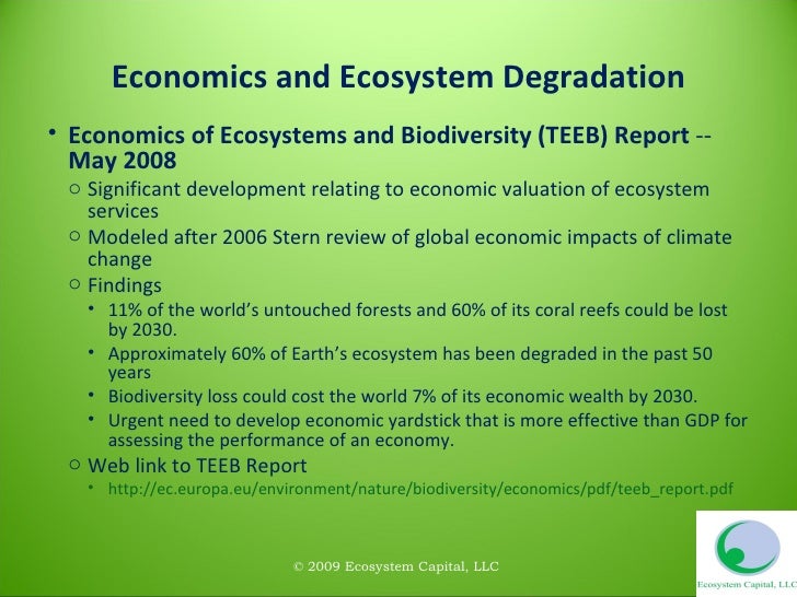 Overview of Ecosystem Services Markets