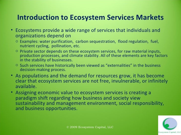 Overview of Ecosystem Services Markets