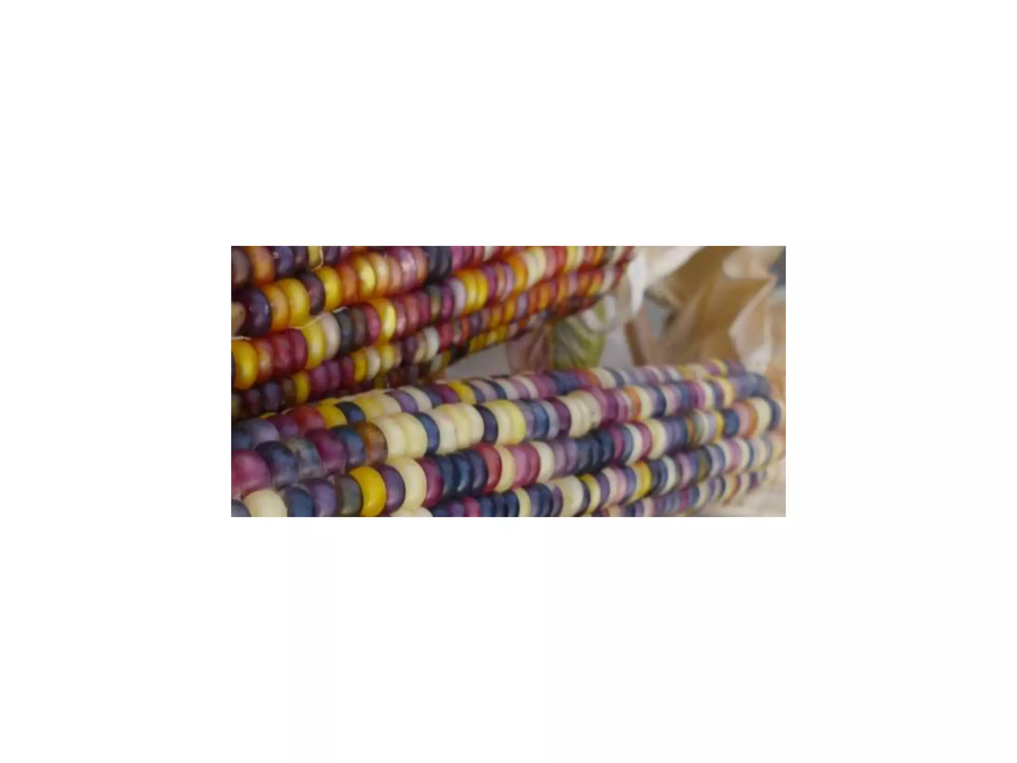 Where Next for Fairtrade in Schools?