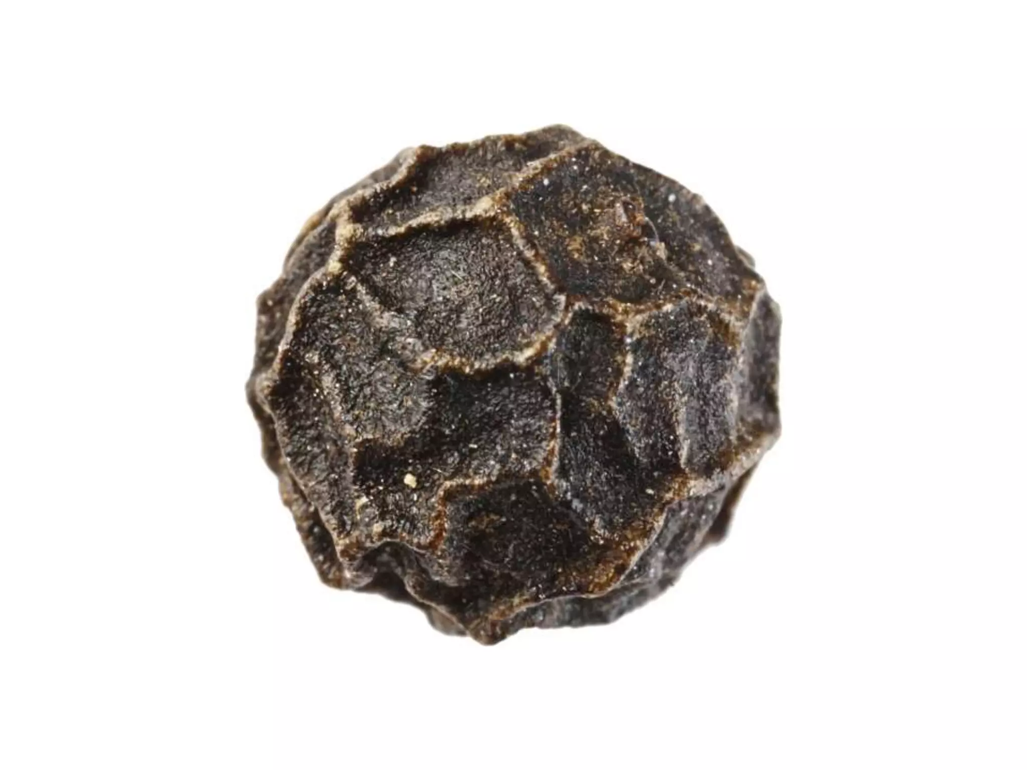 Where Next for Fairtrade in Schools?