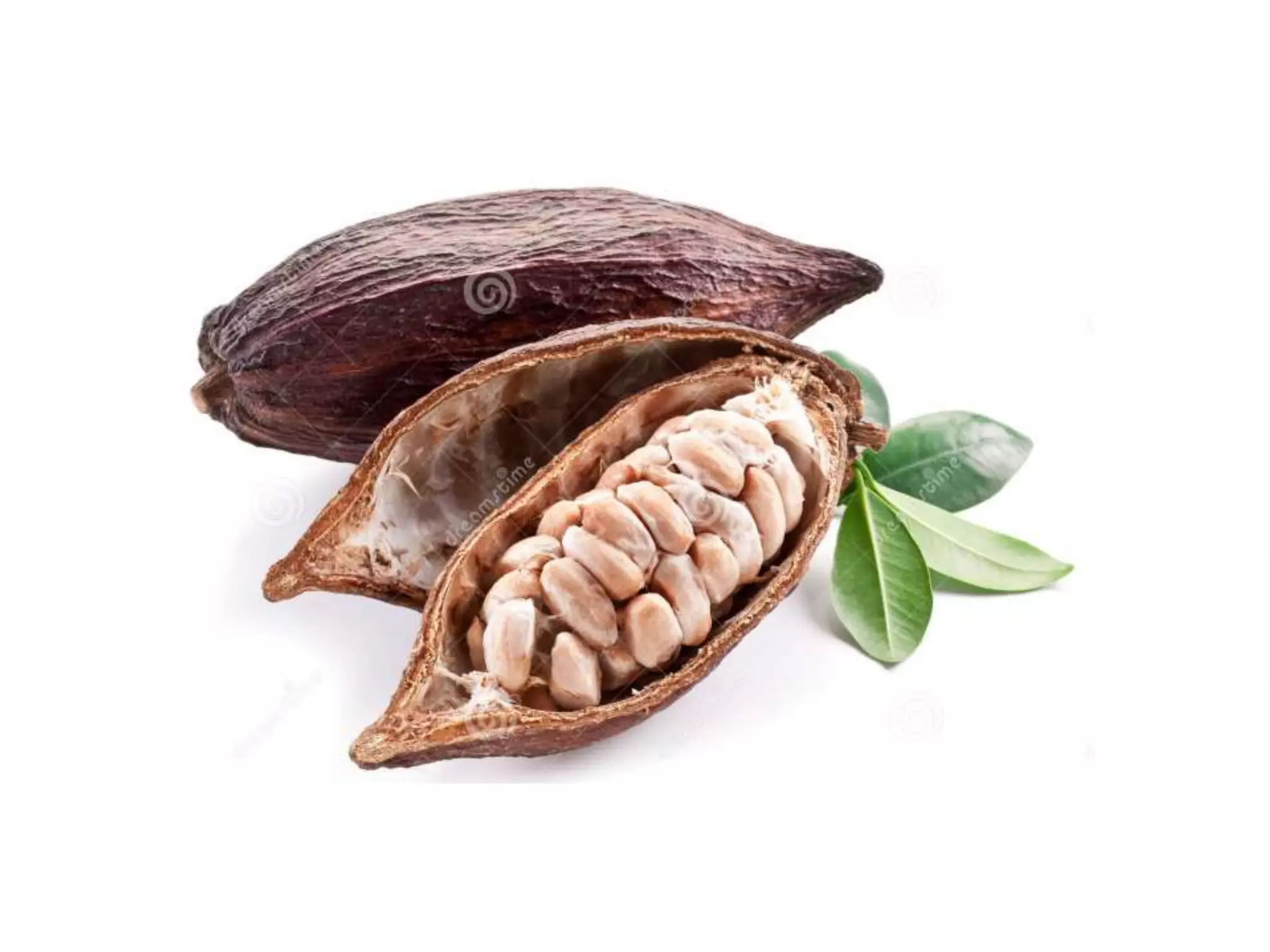 Where Next for Fairtrade in Schools?