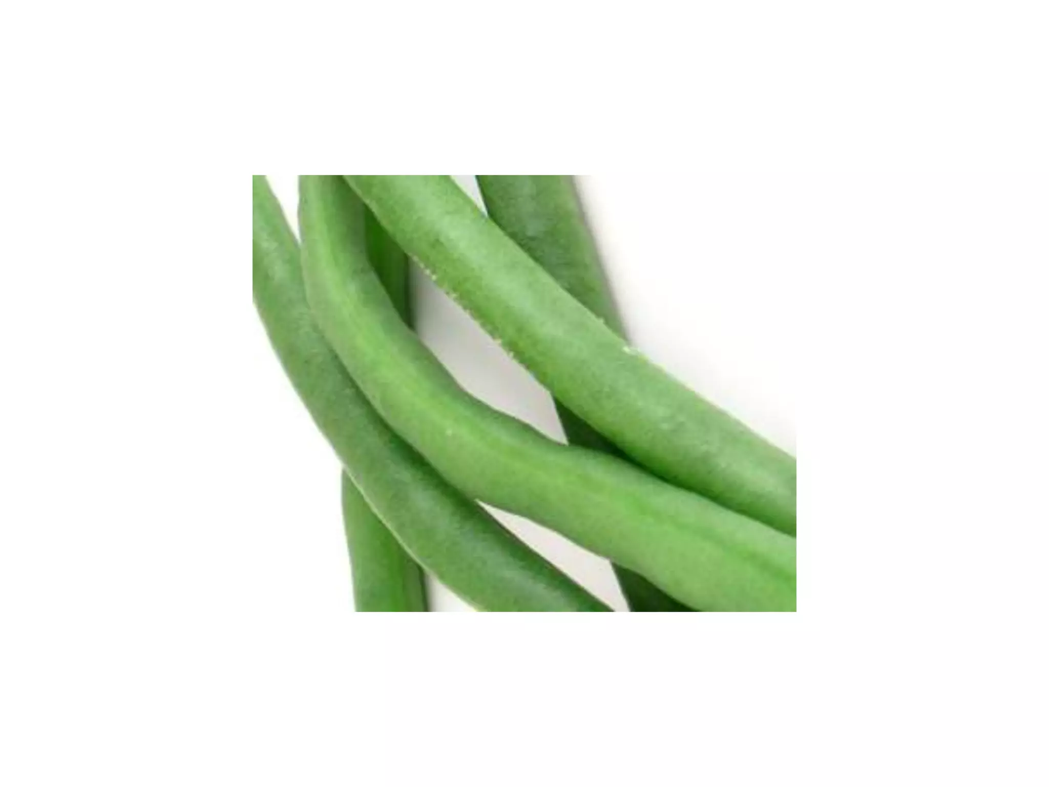 Where Next for Fairtrade in Schools?