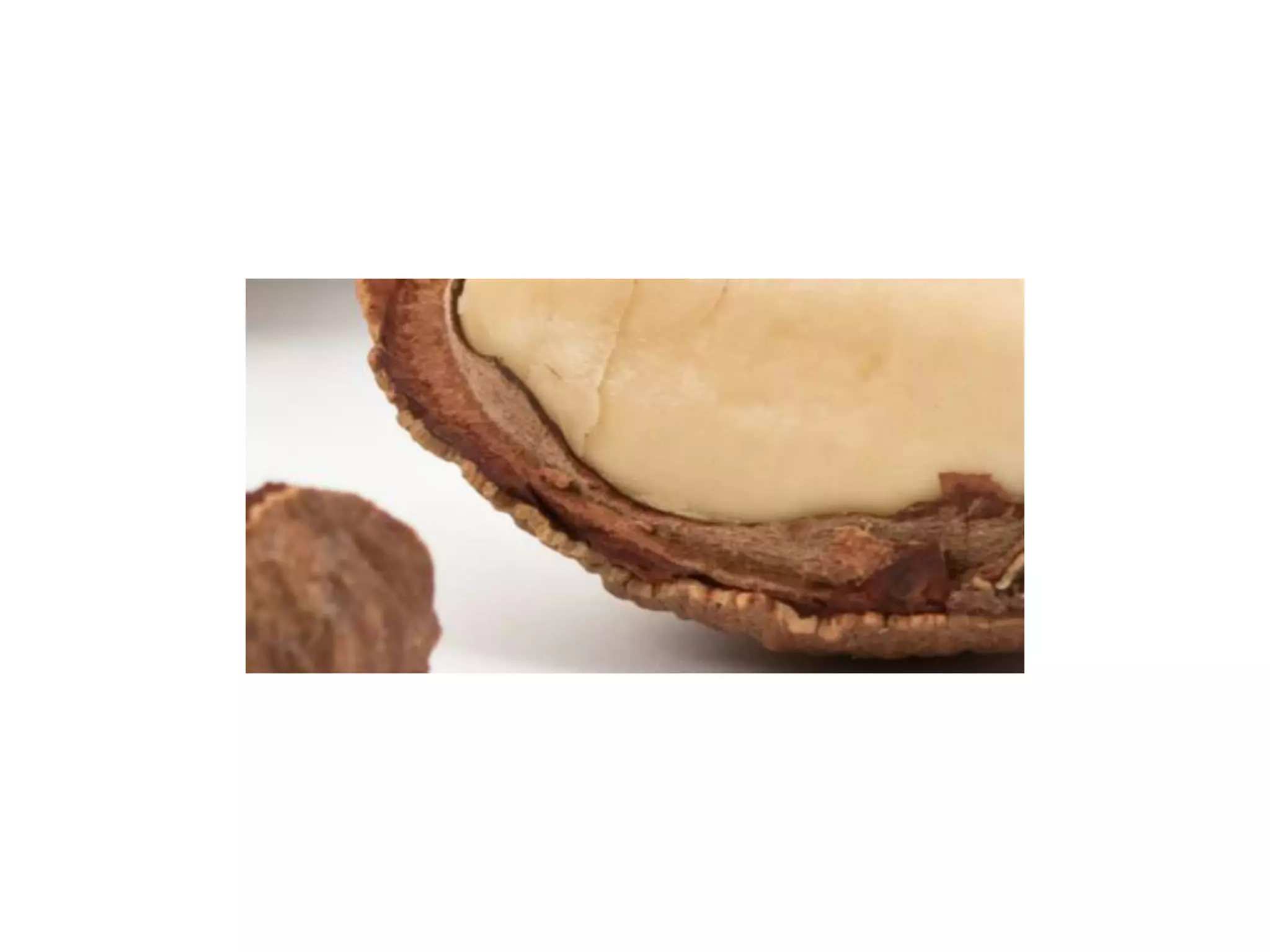 Where Next for Fairtrade in Schools?