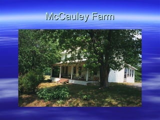 McCauley Farm

 