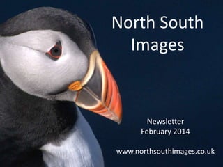 North South
Images

Newsletter
February 2014
www.northsouthimages.co.uk

 