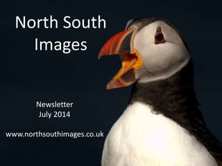 North South
Images
Newsletter
July 2014
www.northsouthimages.co.uk
 