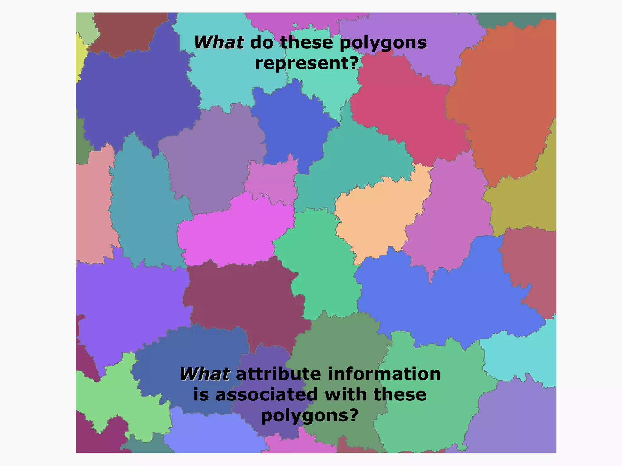 What  do these polygons represent?  What  attribute information  is associated with these polygons? 