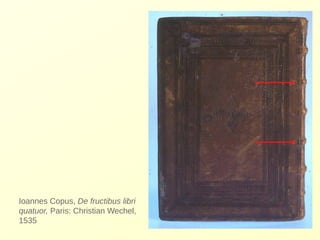Ioannes Copus, De fructibus libri 
quatuor, Paris: Christian Wechel, 
1535 
 
