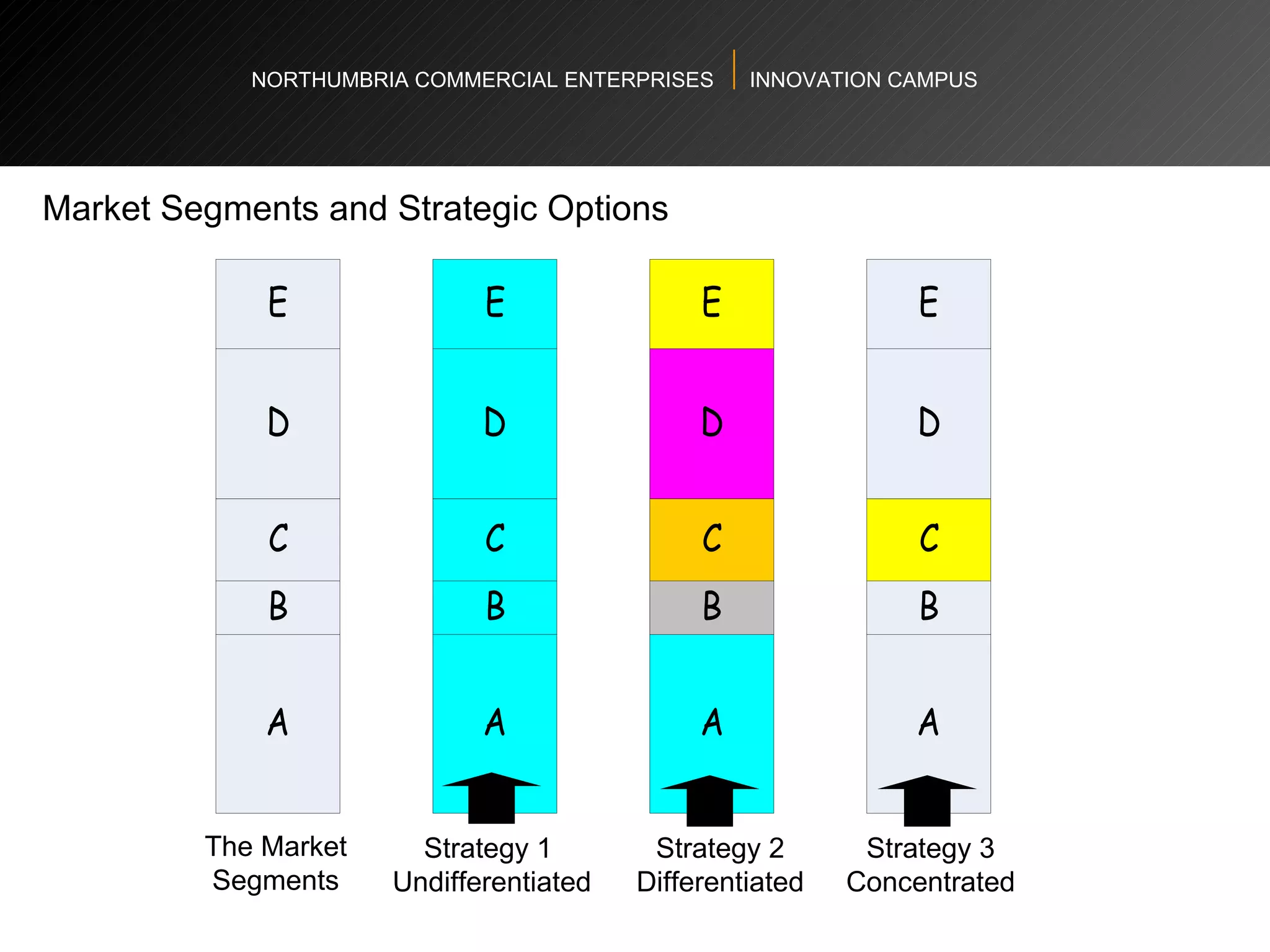 NORTHUMBRIA COMMERCIAL ENTERPRISES  INNOVATION CAMPUS Market Segments and Strategic Options The Market Segments Strategy 1  Undifferentiated Strategy 2 Differentiated Strategy 3 Concentrated 