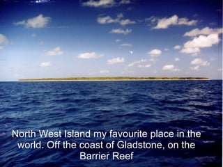 North West Island my favourite place in the world. Off the coast of Gladstone, on the Barrier Reef 