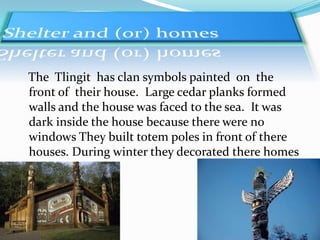 The Tlingit has clan symbols painted on the
front of their house. Large cedar planks formed
walls and the house was faced to the sea. It was
dark inside the house because there were no
windows They built totem poles in front of there
houses. During winter they decorated there homes
 