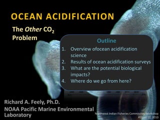 OCEAN ACIDIFICATION The Other CO2 Problem Outline Overview ofocean acidification science Results of ocean acidification surveys  What are the potential biological impacts? Where do we go from here?  Richard A. Feely, Ph.D. NOAA Pacific Marine Environmental Laboratory Northwest Indian Fisheries Commission Workshop August 12, 2010 
