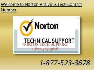 Welcome to Norton Antivirus Tech Contact
Number
1-877-523-3678
 