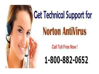 norton antivirus contact number