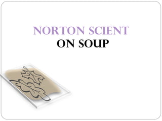 NORTON SCIENTIFIC C
   on SOUP
 
