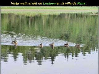 Vista matinal del rio  Losjoen  en la villa de  Rena   