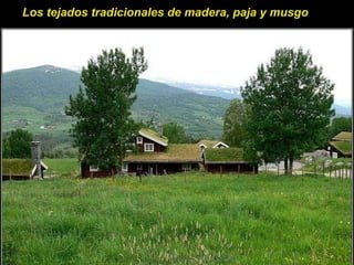 Los tejados tradicionales de madera, paja y musgo  