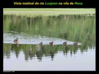 Vista matinal do rio  Losjoen  na vila de  Rena   