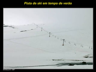 Pista de ski em tempo de verão
 