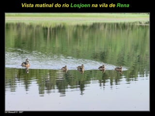 Vista matinal do rio Losjoen na vila de Rena
 