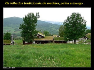 Os telhados tradicionais de madeira, palha e musgo
 