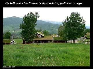 Os telhados tradicionais de madeira, palha e musgo  