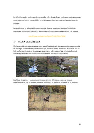 38
En definitiva, poder contemplar las auroras boreales danzando por encima de nuestras cabezas
mostrándonos colores inimagniables en el cielo es sin duda una experiencia que te deja sin
palabras.
Personalmente yo tube ocasión de contemplar Auroras borelas en Noruega (También se
pueden ver en Finlandia y Suecia) y realmente confirmo que es una experiencia casi mágica.
http://www.youtube.com/watch?v=lGxVE2mFWYM
15 – FAUNA DE NORUEGA
Me ha parecido interesante dedicarle un pequeño espacio a la fauna que podemos contemplar
en Noruega. Sobre todo hay tres especies que podemos ver sin demasiada disficultad, por un
lado los Renos, símbolo de Noruega y una constante sobretodo en la provincia de Finmark,
donde se pueden encontrar varios rebaños de renos andando al lado nuestro.
Los Alces, simpaticos y asustadicos animales, son más dificiles de encontrar porque
normalmente no van en manada, son muy solitarios y se comuflan muy bien en su entorno.
 