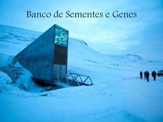 Banco de Sementes e Genes
 