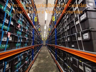 Direito dos Agricultores de Guardar,
Usar, Trocar e Vender Sementes
 