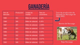 GAnAdería
Roja Noruega
Año de
Mercado
Produccion Unidad de
medida
Tasa de
crecimiento
1985 353 Miles de cabezas 2.32%
1986 368 Miles de cabezas 4.25%
1987 357 Miles de cabezas -2.99%
1988 353 Miles de cabezas -1.12%
1989 353 Miles de cabezas 0.00%
1990 352 Miles de cabezas -0.28%
1991 350 Miles de cabezas -0.57%
1992 348 Miles de cabezas -0.57%
Tasa de producción de
Ganado en Noruega de
1985-1992
Bovino de Noruega
 
