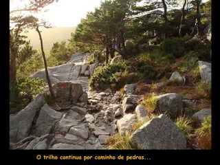 O trilho continua por caminho de pedras...
 