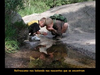 Refrescamo-nos bebendo nas nascentes que se encontram
 