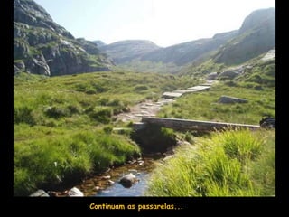 Continuam as passarelas...
 