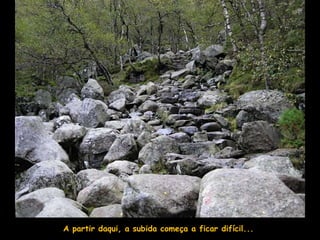 A partir daqui, a subida começa a ficar difícil...
 