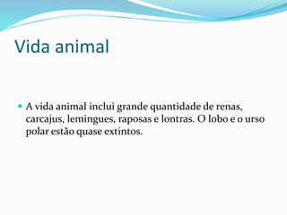 Vida animal 
 A vida animal inclui grande quantidade de renas, 
carcajus, lemingues, raposas e lontras. O lobo e o urso 
polar estão quase extintos. 
 