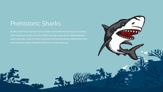 Sharks existed for at least two hundred million yearsbeforethe dinosaurs, theearliest
shark fossils were scales. Just a few million yearsago, a giantshark called Megalodon
swam in the seas. Itwas 18 meters long, twiceas long as theclosely-related great white
shark, and it ate whales. Megalodon died out1.6 million yearsago.
Prehistoric Sharks
 