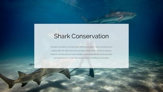 Shark Conservation
Oceanic maritime currentshavedifferentorigins. Tidal currentsarein
phasewith the tide, henceare quasiperiodic; they may form various
knots in certain places, most notably around headlands. Non-periodic
currentshavefor origin the waves, wind and different densities.
 