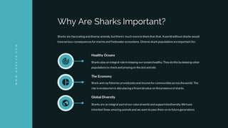 Sharks are fascinating and diverse animals, butthere's much moreto them than that. A world without sharks would
haveserious consequencesfor marineand freshwater ecosystems. Diverse sharkpopulationsareimportant for:
Why Are Sharks Important?
Healthy Oceans
Sharks play an integral rolein keeping our oceans healthy. They do this by keeping other
populationsin checkand preying on thesickand old.
The Economy
Shark and ray fisheries providejobs and incomefor communities across theworld. The
rise in ecotourism is also placing a financial value on thepresenceof sharks.
Global Diversity
Sharks are an integral partof our natural world and supportbiodiversity. Wehave
inherited these amazing animalsand we want to pass them on to futuregenerations
WWW.NORUZA.COM
 
