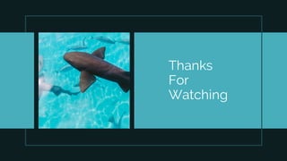 Thanks
For
Watching
 