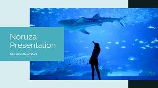 Noruza
Presentation
Education About Shark
 