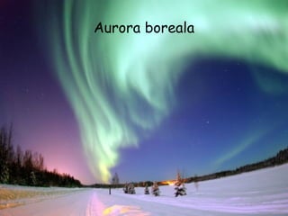 Aurora boreala 